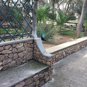 Privatunterkunft 16 Portugal